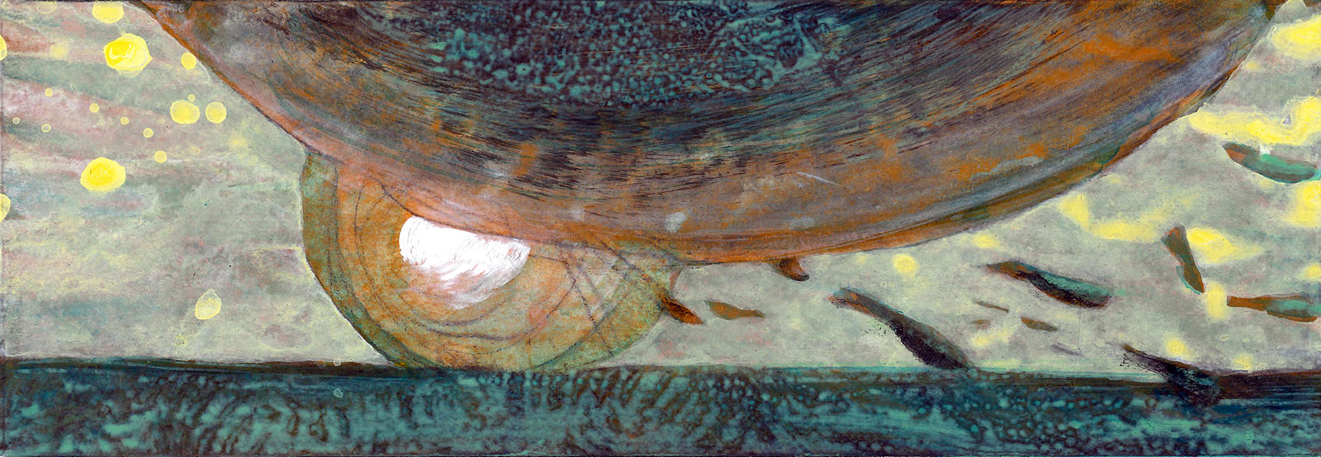 remora 2 TNa